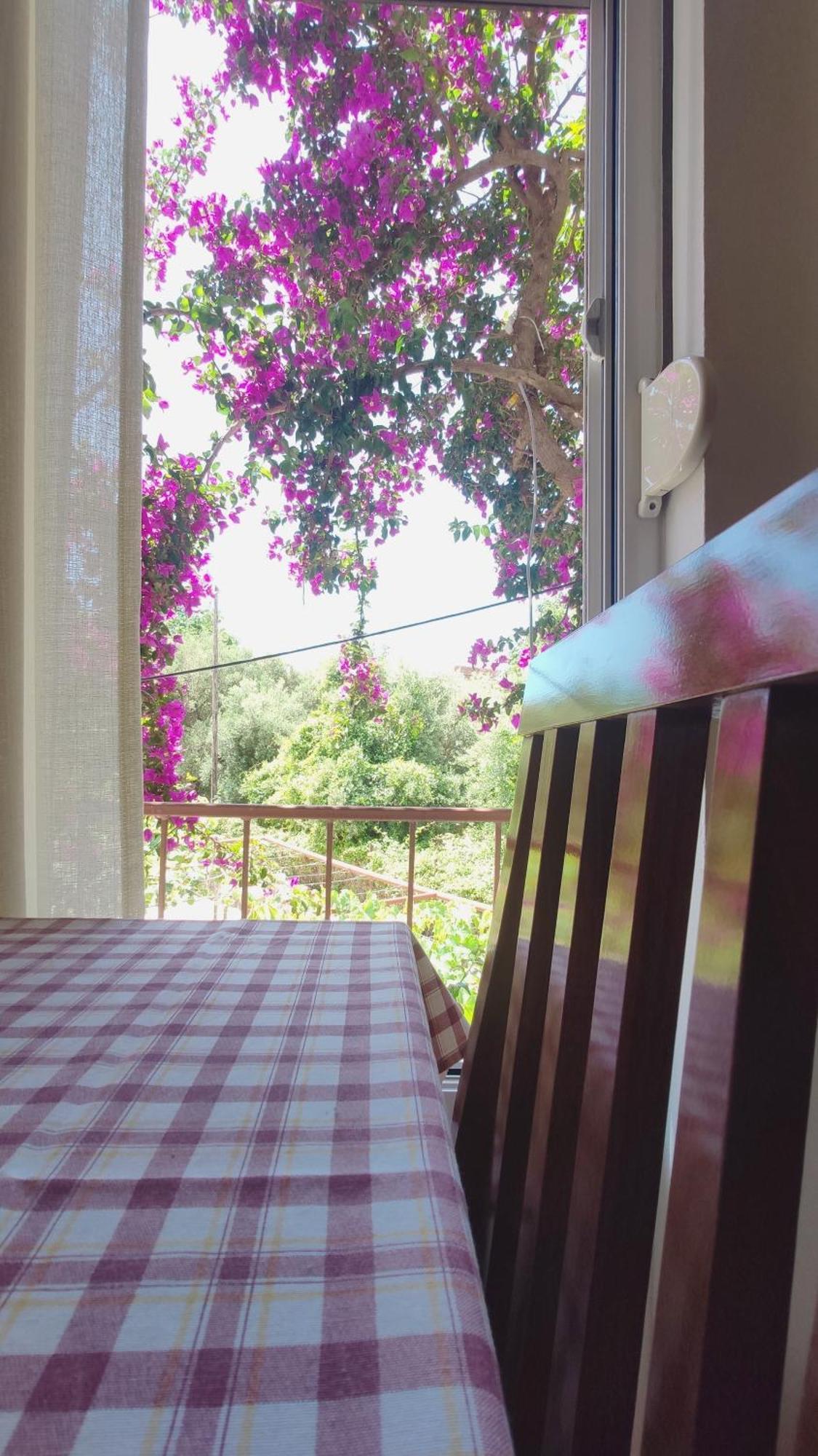 Apartments Ruza Budva Pokoj fotografie
